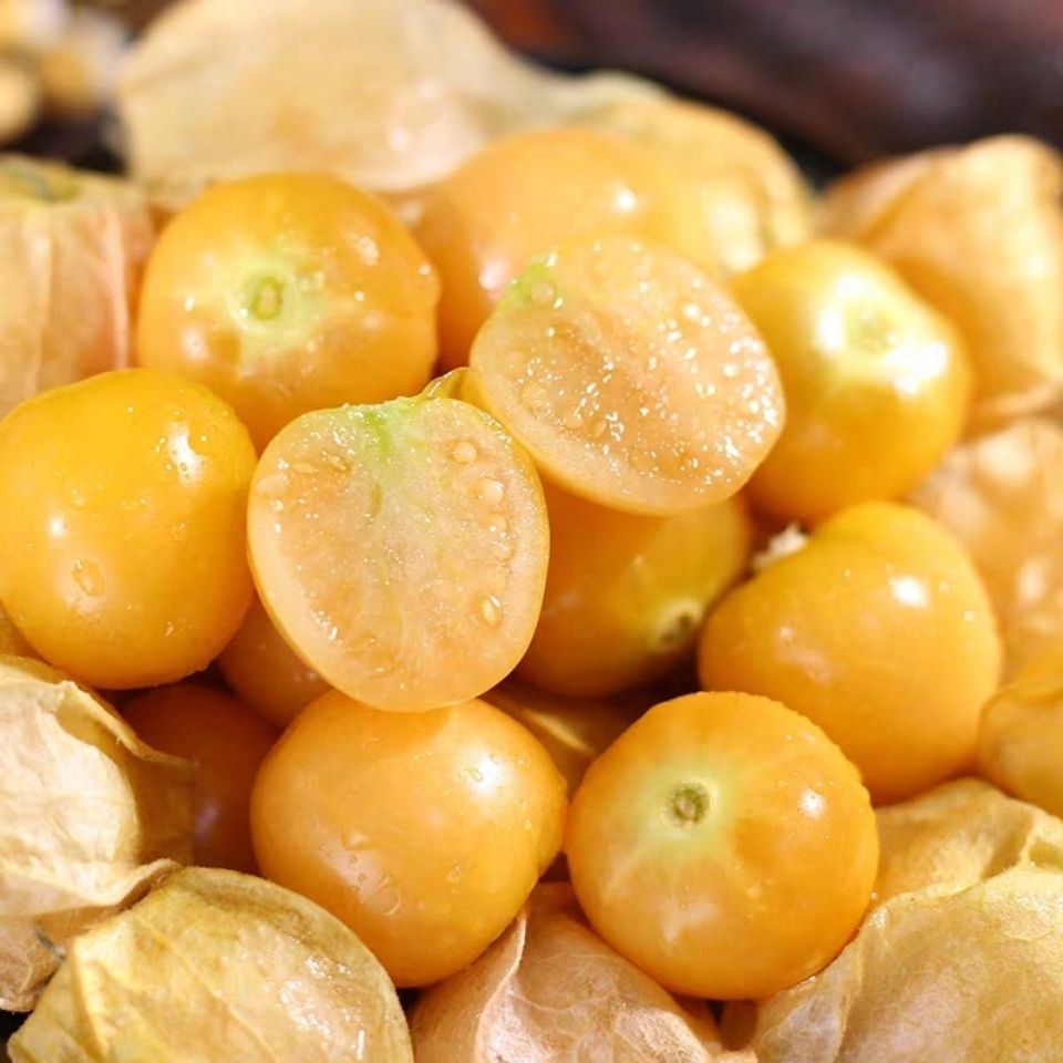 Physalis Peruviana Fruit-Lantern Fruit Seeds