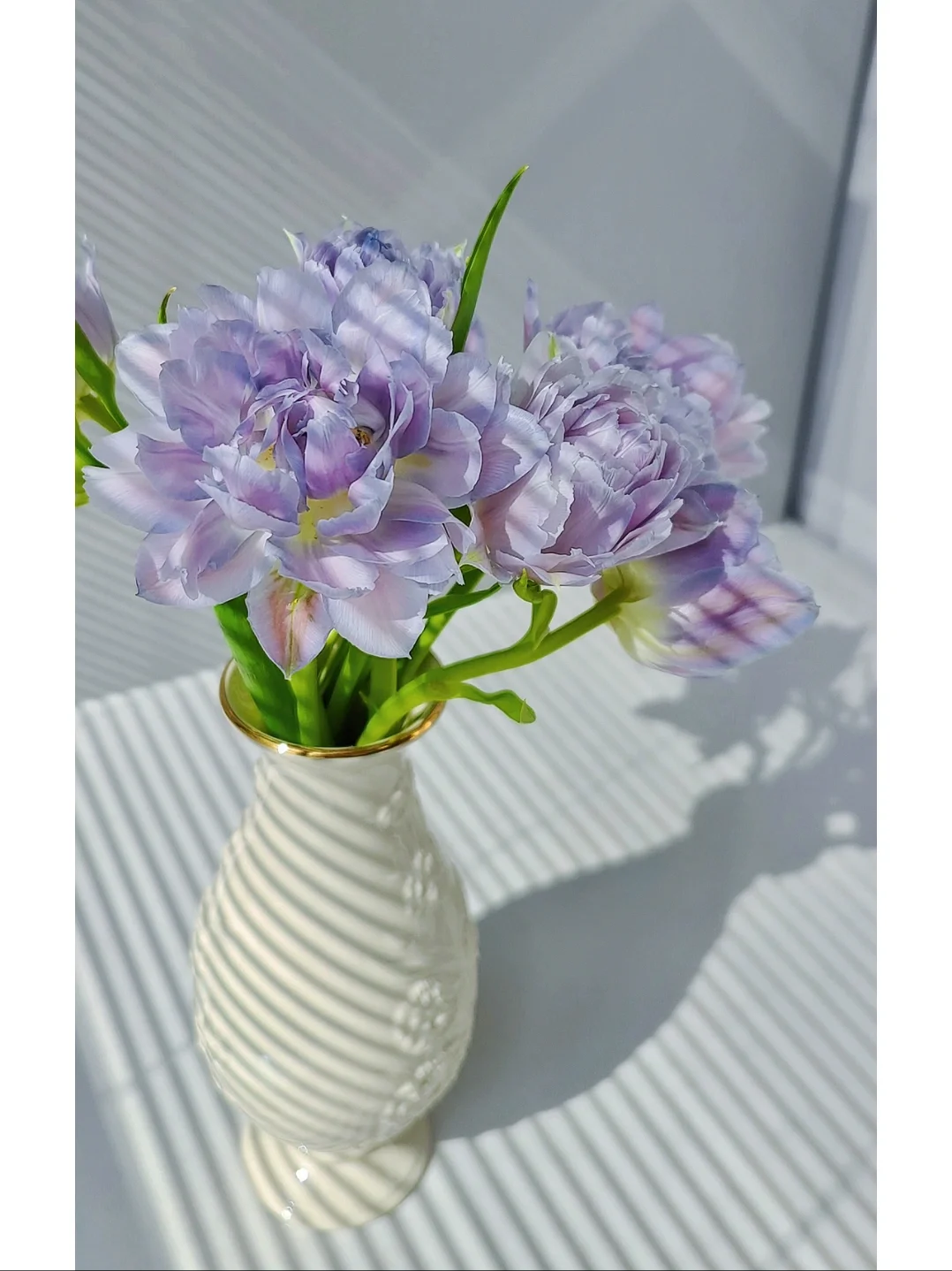 Double Bloom Fluorescent Purple Tulip Seeds