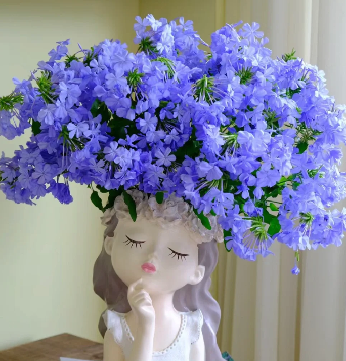 Blue Snow Flower Seeds