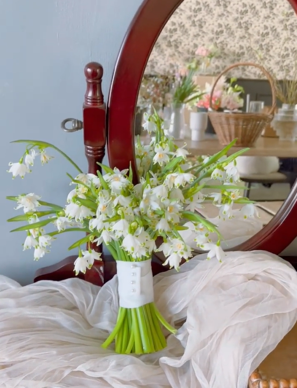 Snowdrop Haven🌼PureBeauty, Fresh Starts