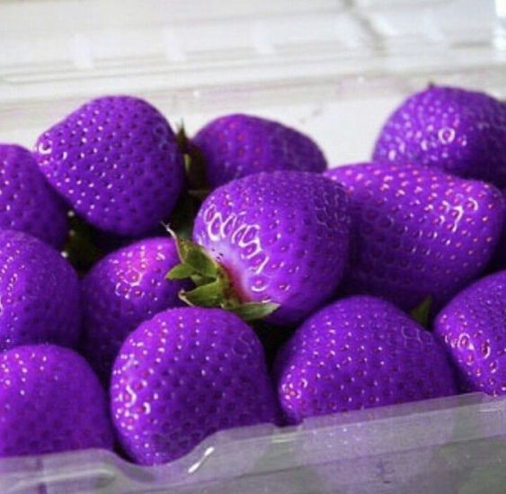 100pcs Blue Climbing Strawberry Seeds Tree Seed, Delicious Fruit Seeds for Home & Garden Bonsai Seeds Planting