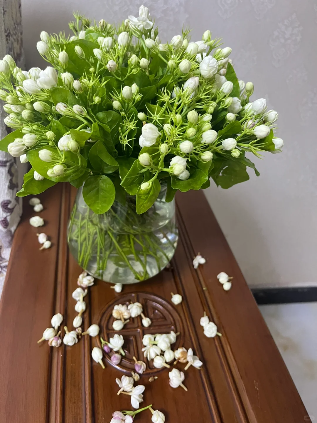 🌿Cape Jasmine Seeds🌸Hot Sale 53% off🚨