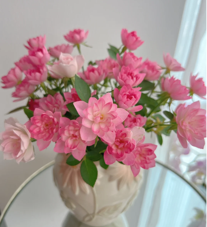 Rare Seeds| Lotus Star Rose Seeds-Perennial