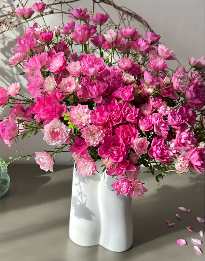 Rare Seeds| Lotus Star Rose Seeds-Perennial