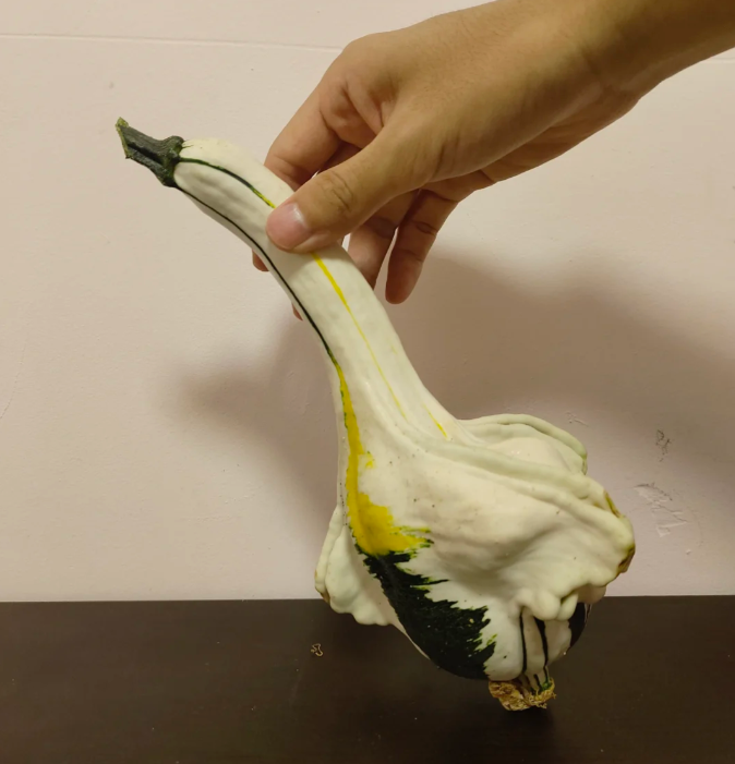 White Swan Pumpkin Seeds🦢🎃