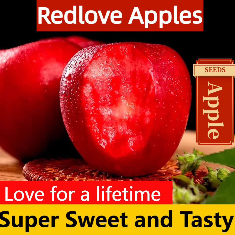 Redlove Red Flesh Apple Tree Seeds 🍎✨