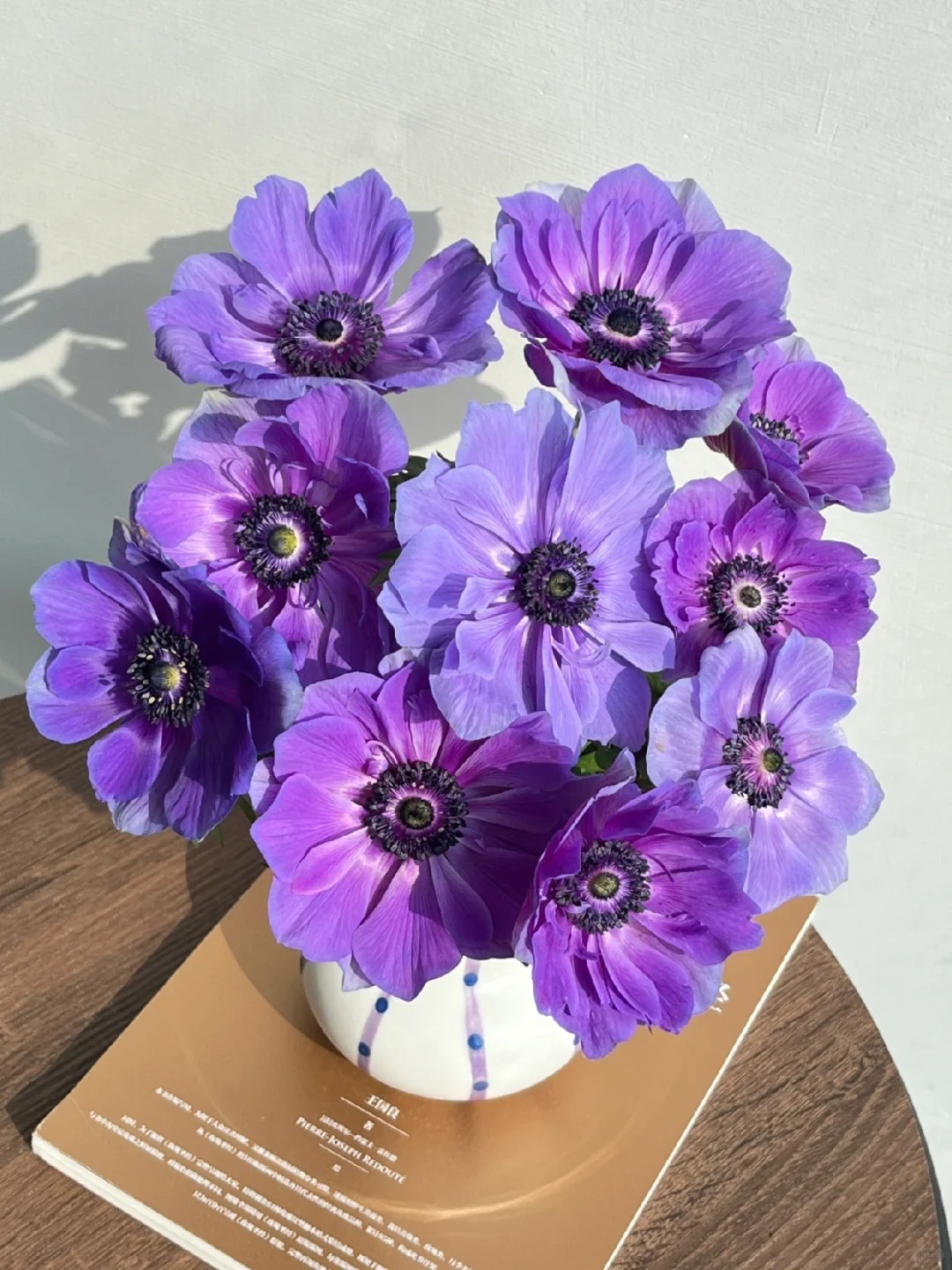 🌟 Discover the Beauty: Blue Purple Silver Lotus Flower for Your Garden Oasis! 🌸💜