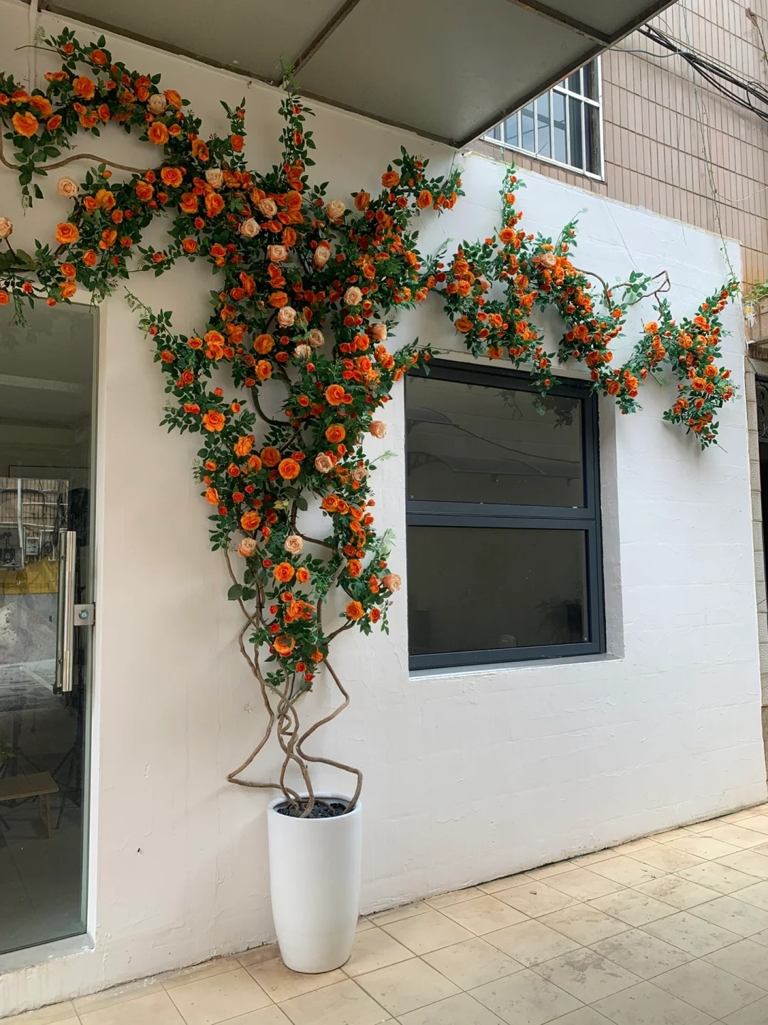 💥Gartenjuwel: 💐Mehrfarbige Kletterrose🌹✨40%OFF