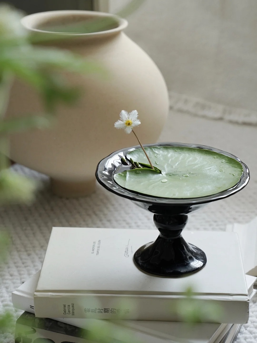 🌸🍃 Discover Nature's Elegance: One Leaf Lotus Seeds for Your Enchanted Garden! 🌟🌿