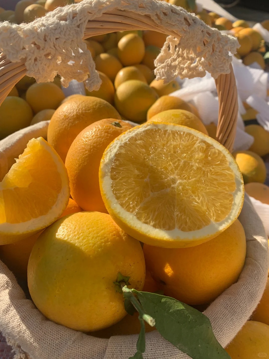 Seeds of rare citrus with thin skin and juicy flesh