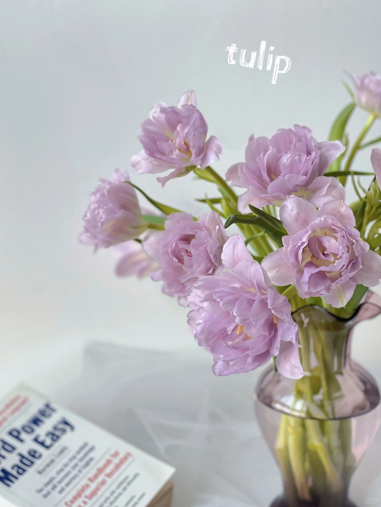 Double Bloom Fluorescent Purple Tulip Seeds