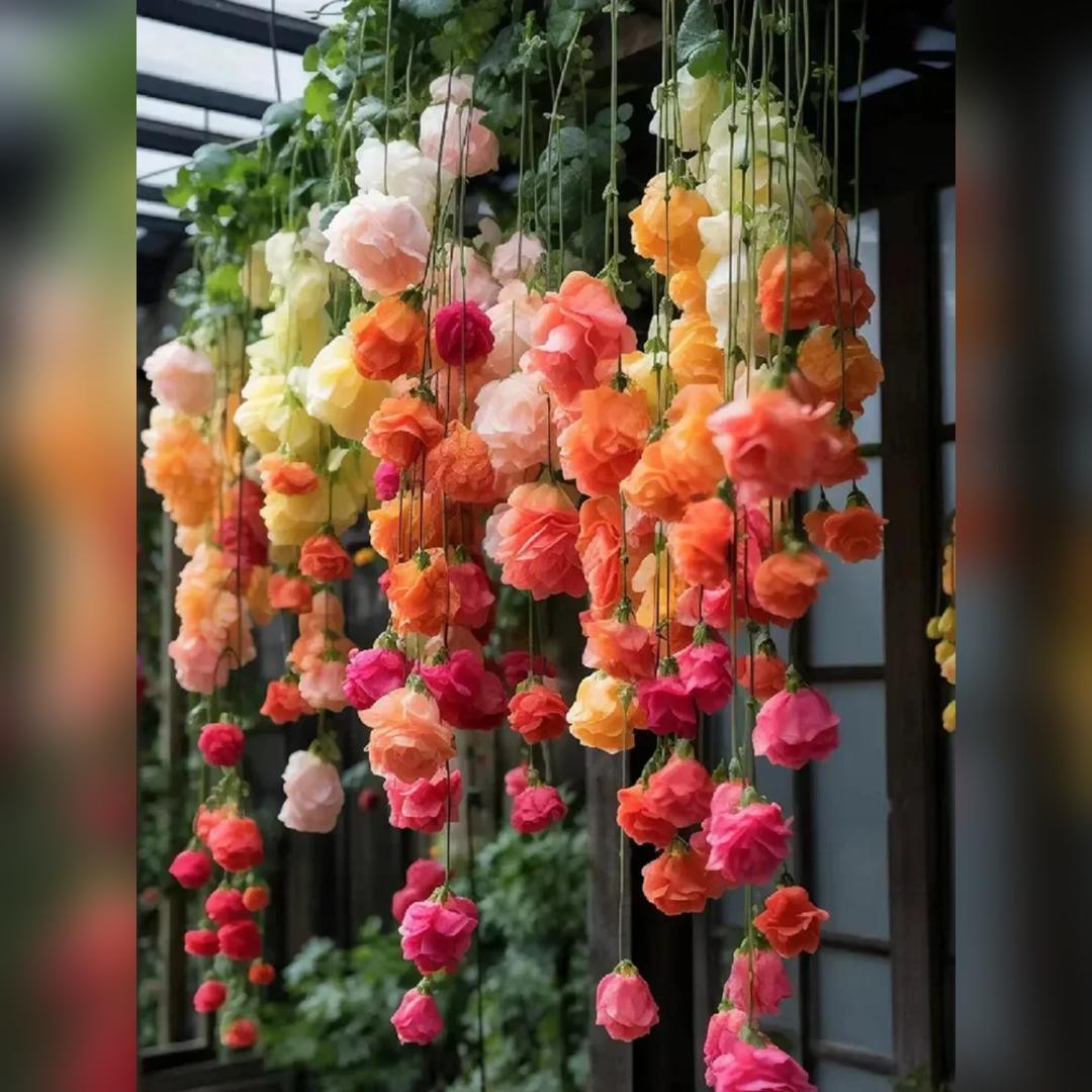 Weeping Begonia Seeds-Malus halliana