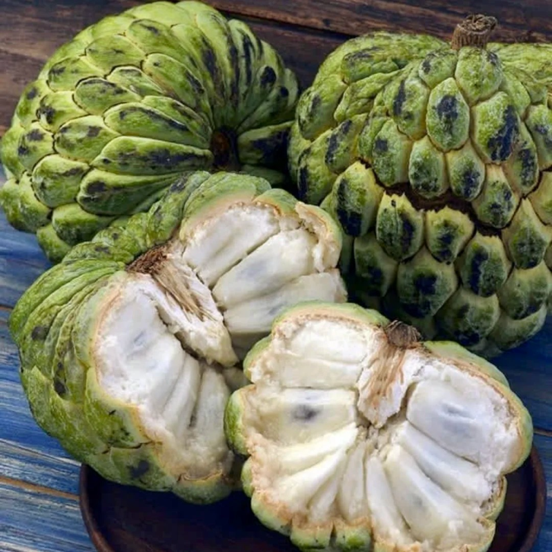 🔥Premium Soursop Seeds🌱 - Healthy Living | High Germination |Trusted for Generations | Nutrient-Rich Fruit🥰