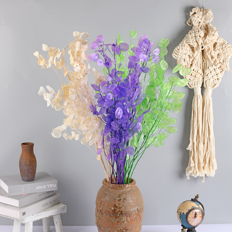 🌟Silver fan leaf seeds🌱- A Unique and Elegant Addition to Your Garden 🌿✨