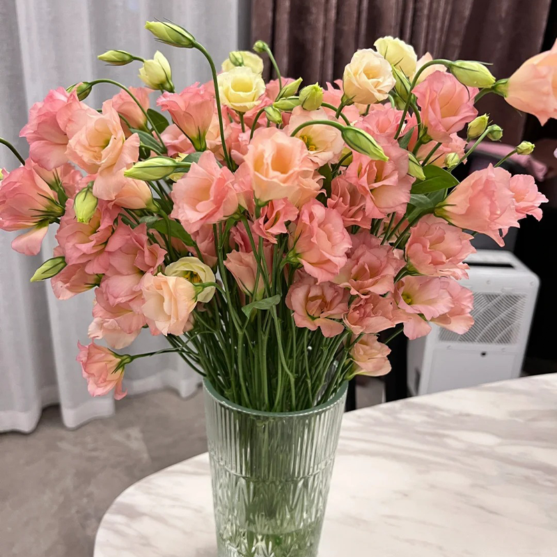 ❤️‍🔥Hot sale! 🌈Eternal Love : Lisianthus seeds🌷