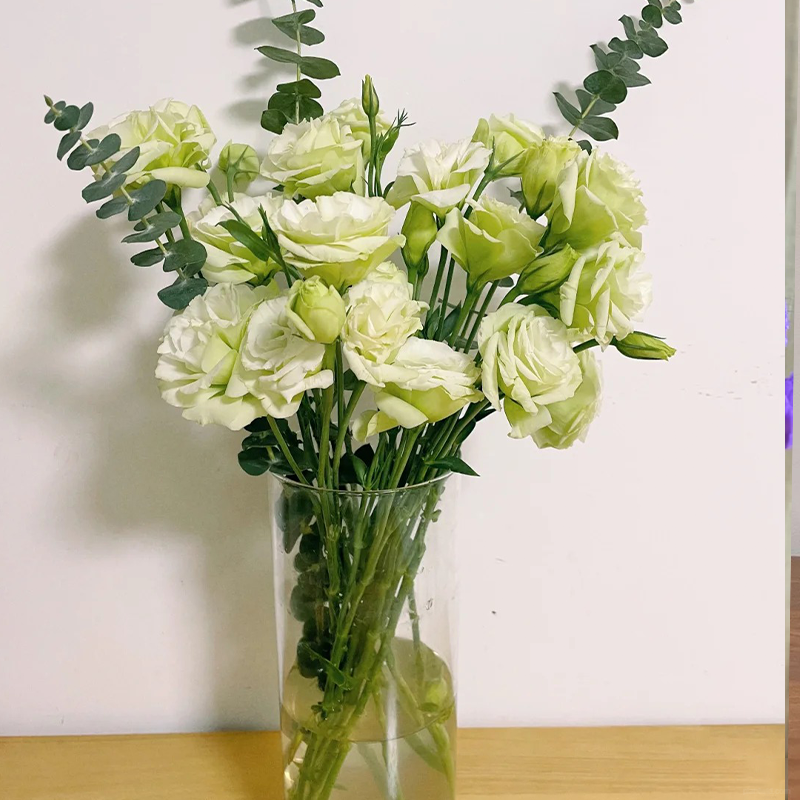 ❤️‍🔥Hot sale! 🌈Eternal Love : Lisianthus seeds🌷