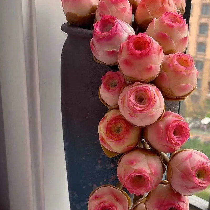 💥HOT SALE🌹Mountain Rose❗36%OFF