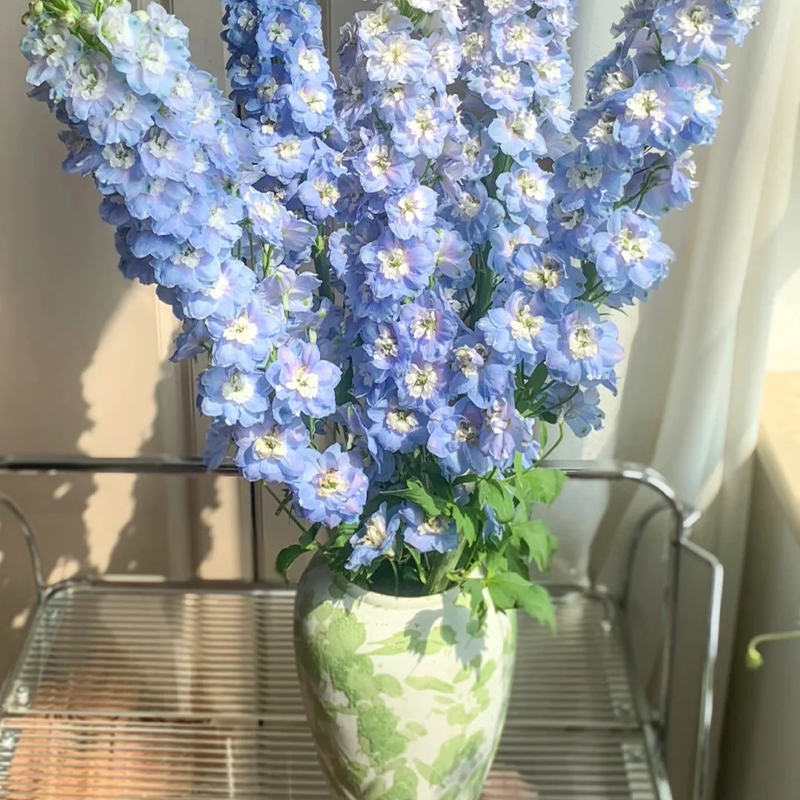 🌸 Elegant Blooms:💖Delphinium 🌸