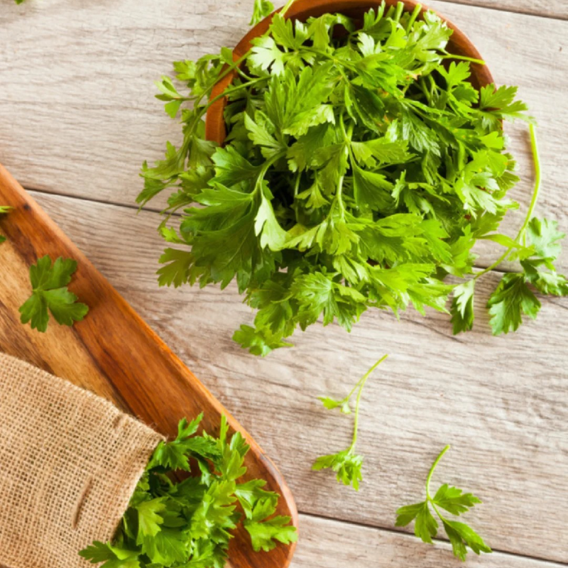 🌿Eucommia seeds-Low maintenance, multi-purpose, high nutrition