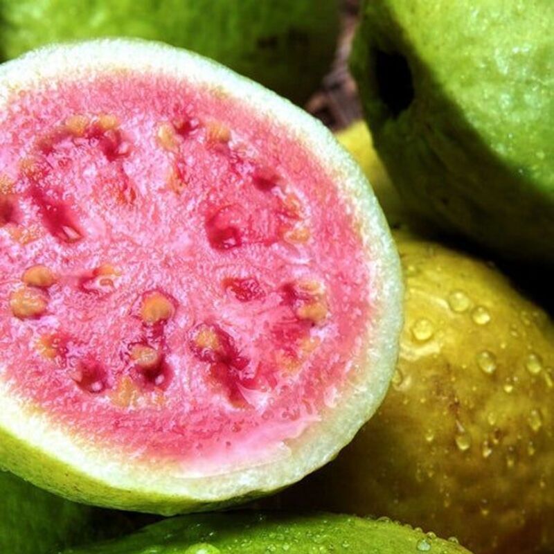 🔥Hot Sale🍏Bonsai Guava Seeds