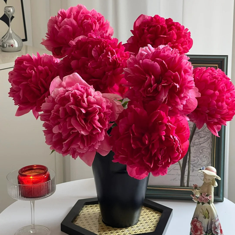 🌸Limited time offer🌸 Easy to plant peony seeds