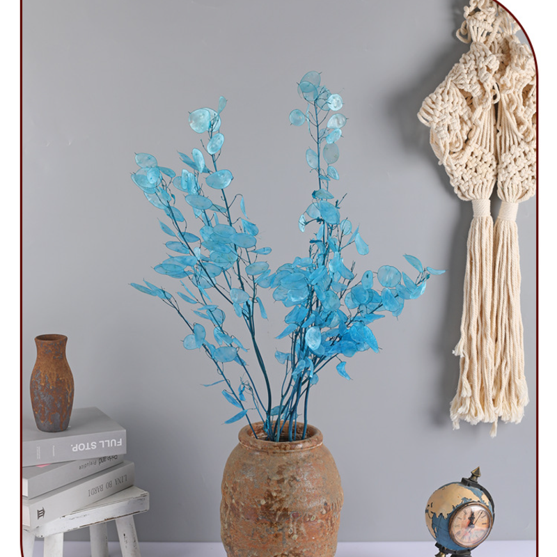 🌟Silver fan leaf seeds🌱- A Unique and Elegant Addition to Your Garden 🌿✨