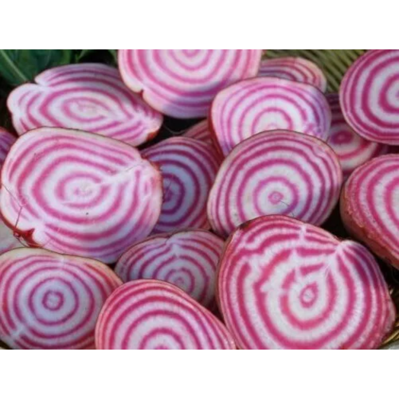 Premium Beetroot Seeds –easy to grow,rich in nutrient and delicious🌱💜