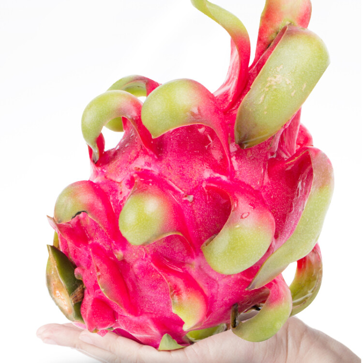 京鲜生越南进口红心火龙果2个装巨无霸果单果600-700g 生鲜水果-商品详情-光明菜管家