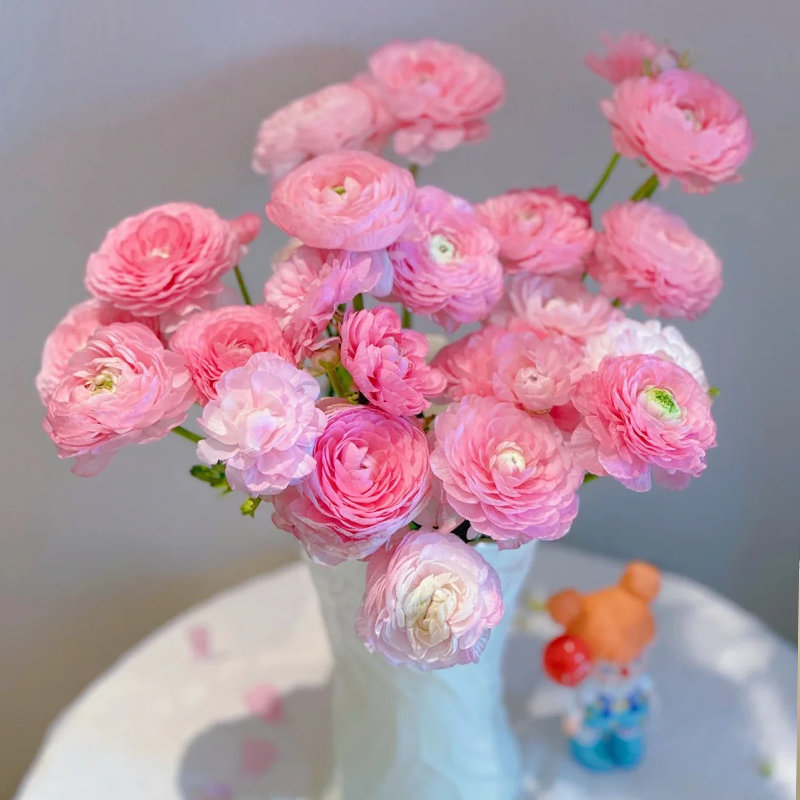 ✨🌿50% Rabatt auf Ranunkelknollen💐🦋