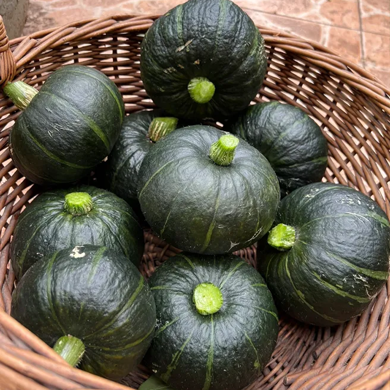 🎃Beibei-Kürbiskerne