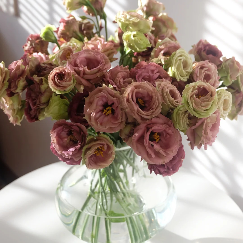 ❤️‍🔥Hot sale! 🌈Eternal Love : Lisianthus seeds🌷