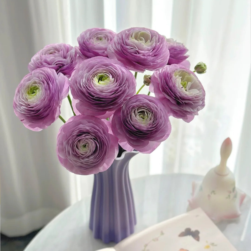 ✨🌿50% Rabatt auf Ranunkelknollen💐🦋