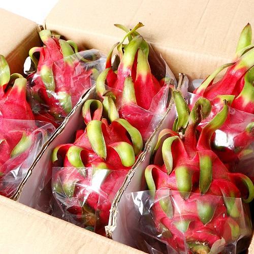 Multicolor dragon fruit🥰