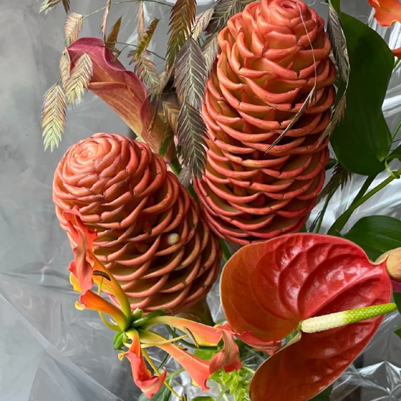 🐝 Exotic Beehive Ginger – Sculptural Blooms for Effortless Elegance 🌼