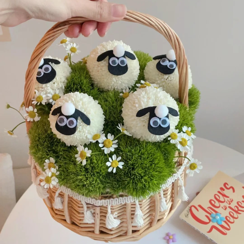 Colorful ping pong chrysanthemum seeds