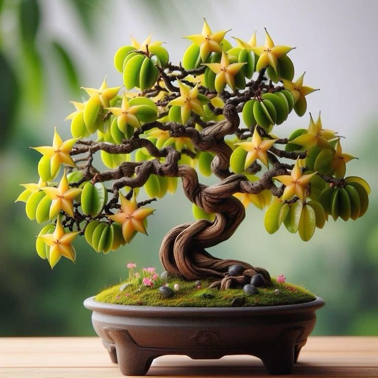 🌿✨ Create Your Own Magical Mini Bonsai – Grow a Living Masterpiece! 🎍💚