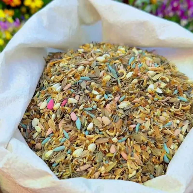 All-Season Wildflower Mix Seeds 🌸🌼🌺  Easy-Grow | Low Maintenance Blooms