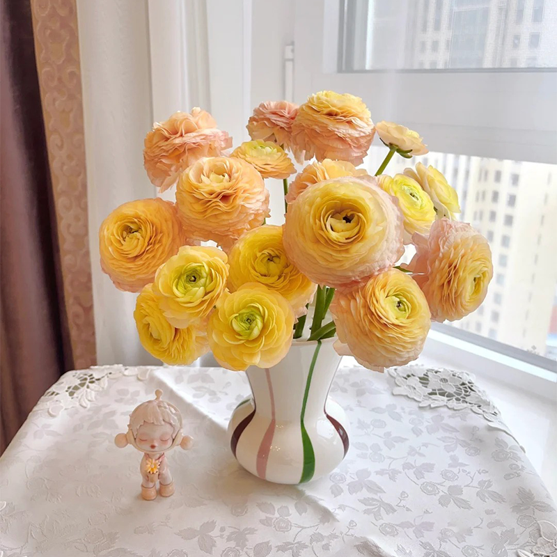 ✨🌿50% Rabatt auf Ranunkelknollen💐🦋