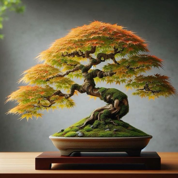 🌿✨ Create Your Own Magical Mini Bonsai – Grow a Living Masterpiece! 🎍💚