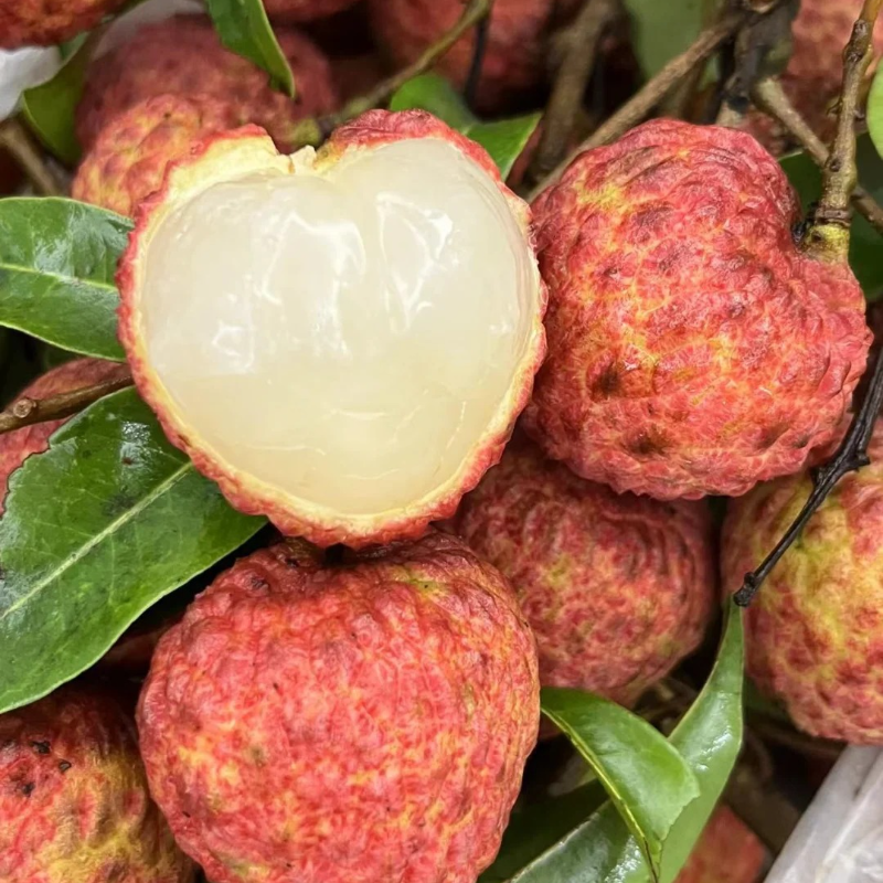 🌱 Grow Something Special – Lychee Seeds for Home Orchards 🍈