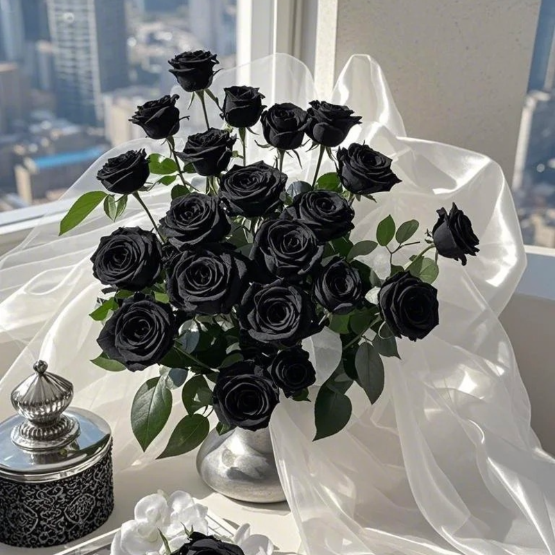 🌙 Midnight Rose Seeds – 🖤 Rare Black Beauties for a Touch of Mystery & Elegance ✨🌹