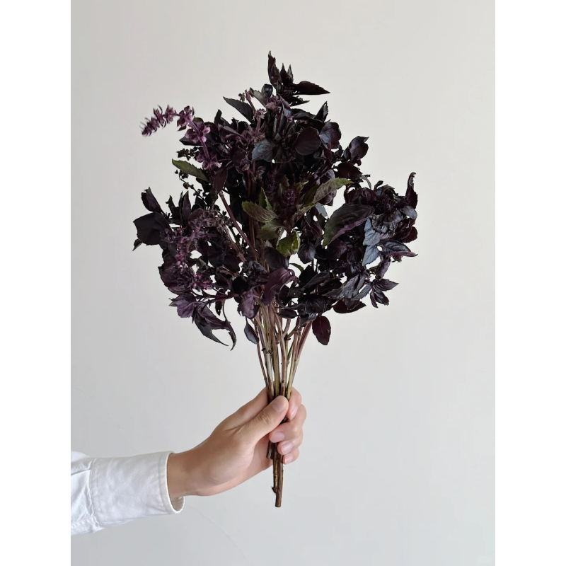 🌱Basil seeds-High quality, easy to grow, and rich in flavor