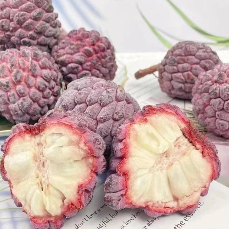 🔥Premium Soursop Seeds🌱 - Healthy Living | High Germination |Trusted for Generations | Nutrient-Rich Fruit🥰