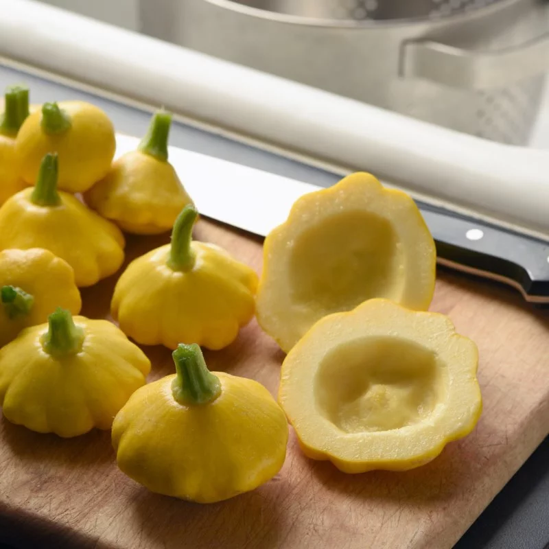 🥰Flying saucer melon🌱🌸