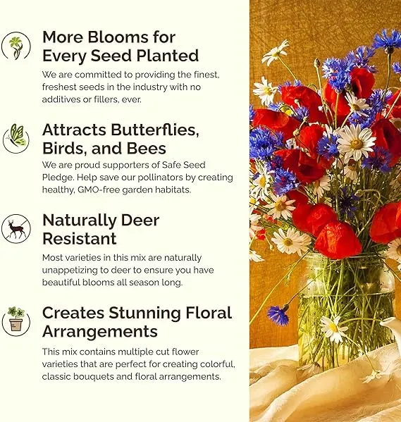 ✨Midwest Wildflower Seed Mix —— Wenig Pflegeaufwand👨‍🌾