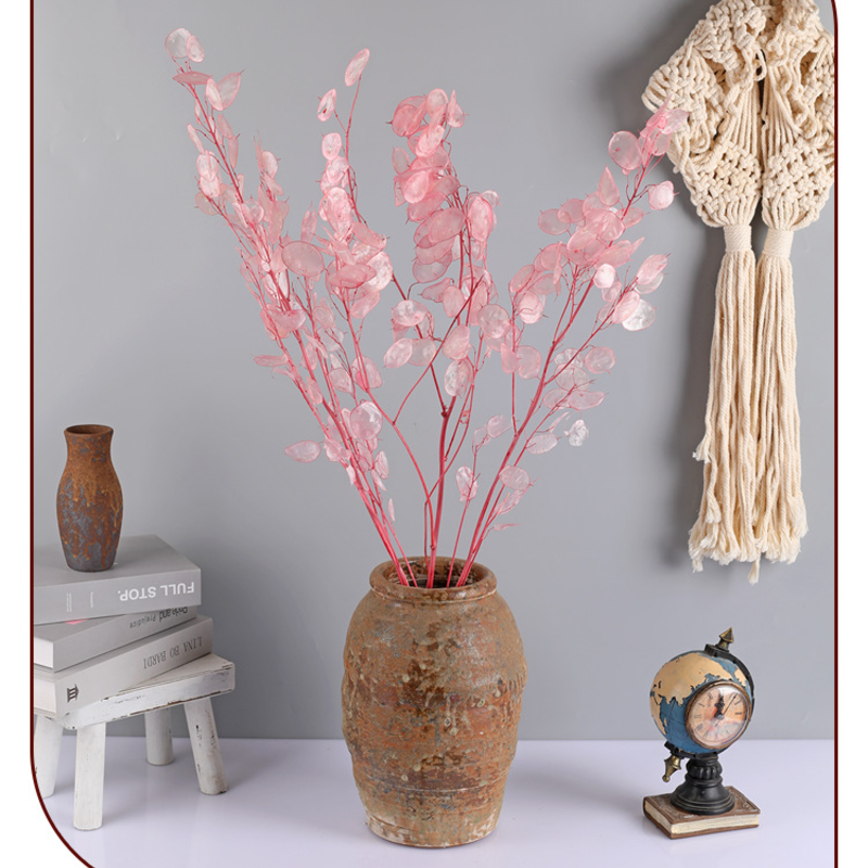 🌟Silver fan leaf seeds🌱- A Unique and Elegant Addition to Your Garden 🌿✨