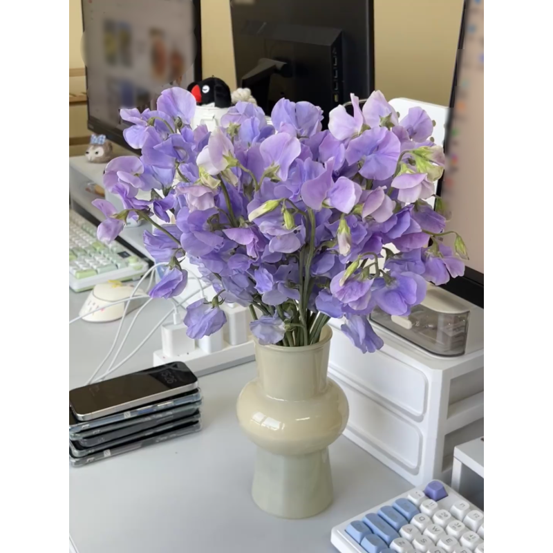  Fragrant Pea Seeds- Blooms for garden & containers | non-GMO, fast growing🌱