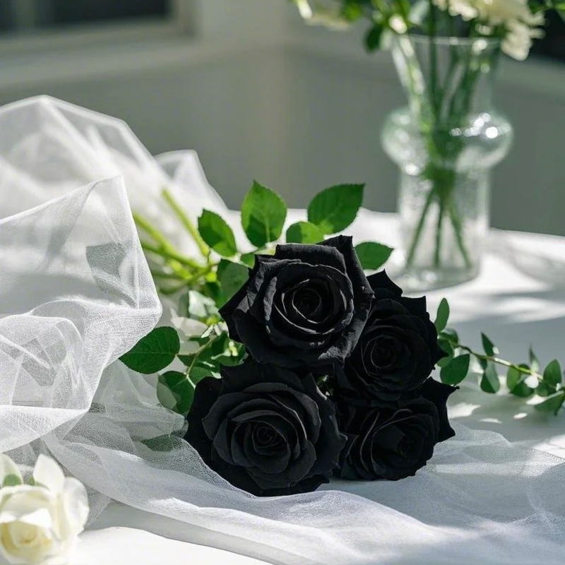 🌙 Midnight Rose Seeds – 🖤 Rare Black Beauties for a Touch of Mystery & Elegance ✨🌹