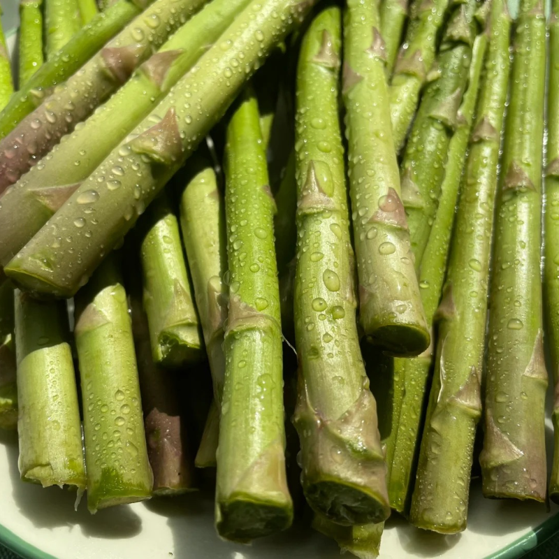 🌱Organic Asparagus Seeds - ❤️Arthritis-Friendly, ✅Easy to cultivate, long-term benefits