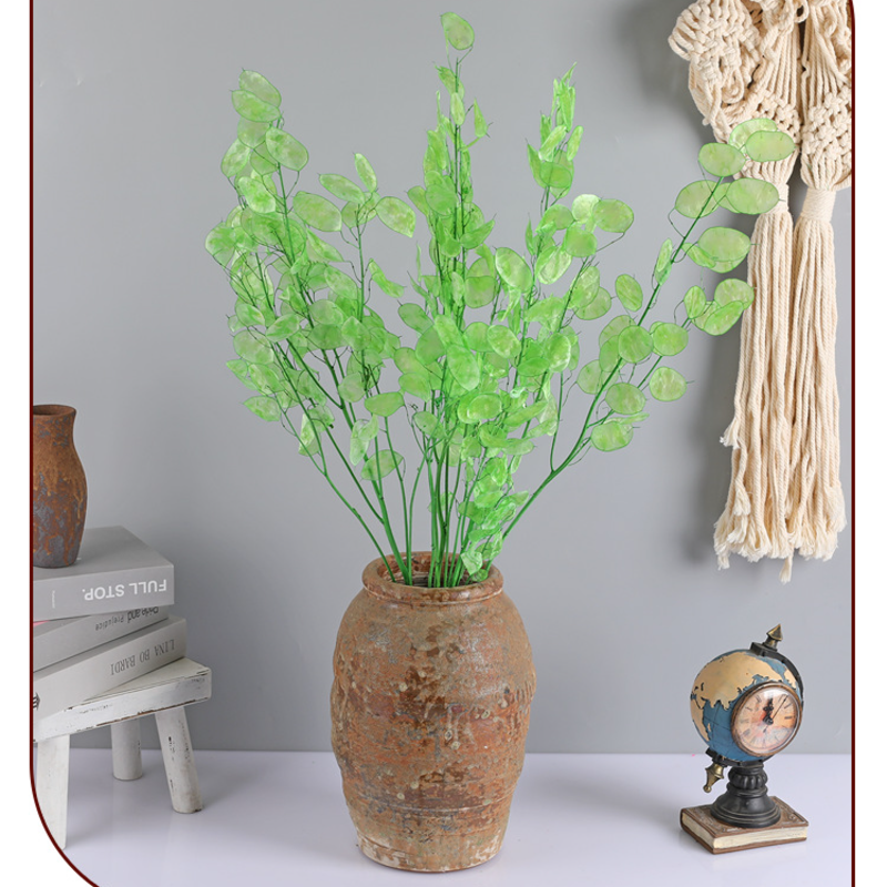 🌟Silver fan leaf seeds🌱- A Unique and Elegant Addition to Your Garden 🌿✨